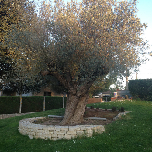 homemultiservices31 5