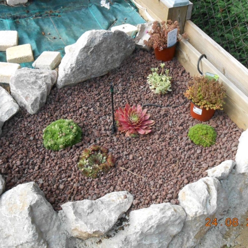 Plantation à Plaisance-du-Touch